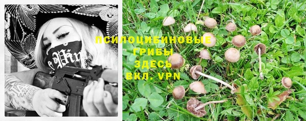 трава Нягань