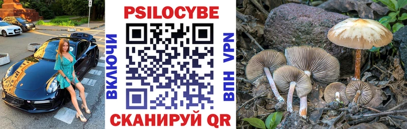 Галлюциногенные грибы мухоморы  Касли 
